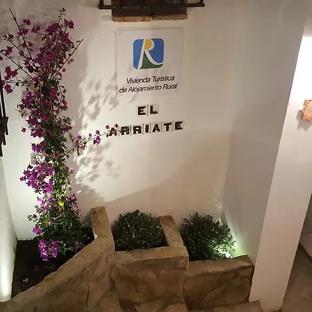 Apartament El Arriate De Vejer Vejer de la Frontera Zewnętrze zdjęcie