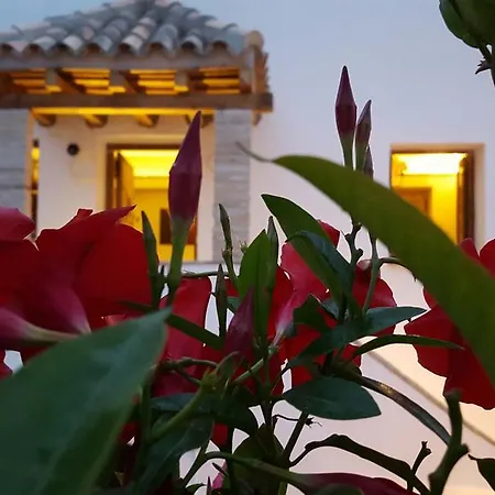Apartament El Arriate De Vejer Vejer de la Frontera Zewnętrze zdjęcie