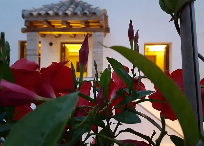 El Arriate De Vejer